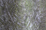 Drumcree fibreglass roof work